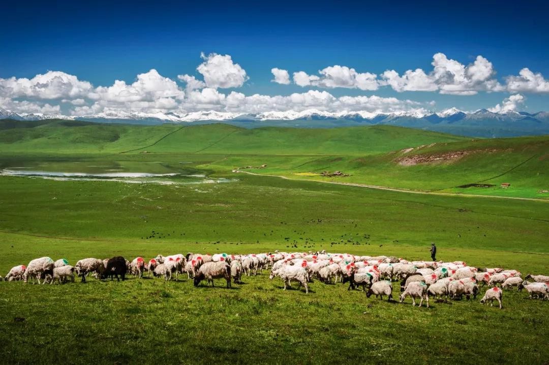 /uploads/image/2023/05/19/1684491382036856/圖片2.jpg 圖片2.jpg