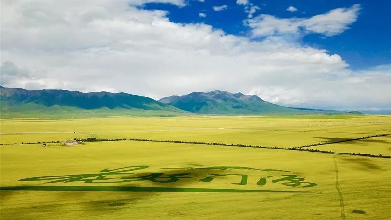 /uploads/image/2023/05/19/1684491405846536/圖片3.jpg 圖片3.jpg